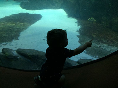 Michael at Adventure Aquarium